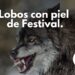 El festival del Lobo en Cantalojas
