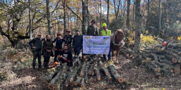 Proyecto piloto de gestión forestal sostenible en la Sierra Norte de Guadalajara: Biodiversidad y créditos de carbono