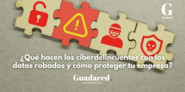 ¿Qué hacen los ciberdelincuentes con los datos robados y cómo proteger tu empresa?