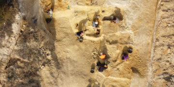 Yacimiento de Algora en Guadalajara: Descubrimientos Clave sobre Dinosaurios y Faunas Mesozoicas