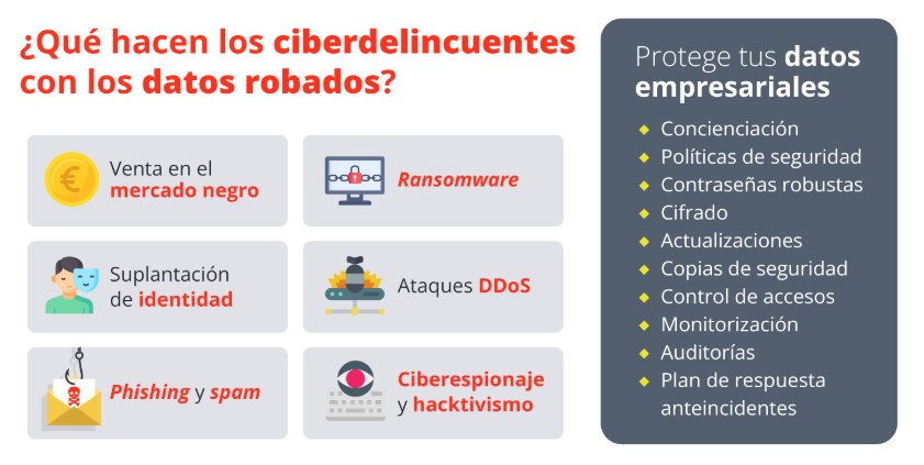 ¿Qué hacen los ciberdelincuentes con los datos robados y cómo proteger tu empresa?