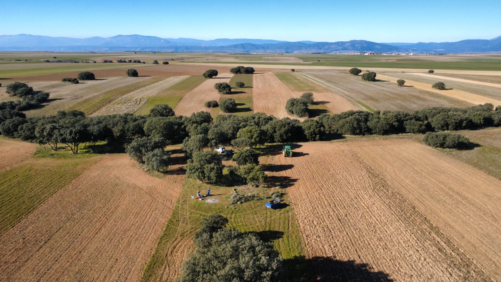 Agricultores en el término de El Cubillo de Uceda-foto Luis Antonio G