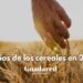 Precios de los cereales en 2025: expectativas firmes para el trigo, maíz y cebada