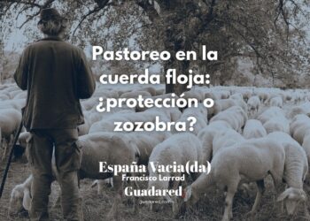 Pastoreo en la cuerda floja en Castilla La Mancha