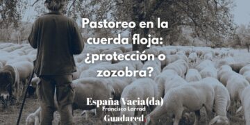 Pastoreo en la cuerda floja en Castilla La Mancha