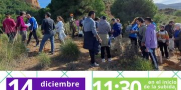 Planta Quejigos en Peña Hueva con AIKE este Sábado: ¡Únete a la Jornada Ecológica!