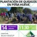 Planta Quejigos en Peña Hueva con AIKE este Sábado: ¡Únete a la Jornada Ecológica!