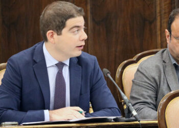 Datos sobre delincuencia y violencia en Guadalajara: análisis desde la perspectiva de VOX