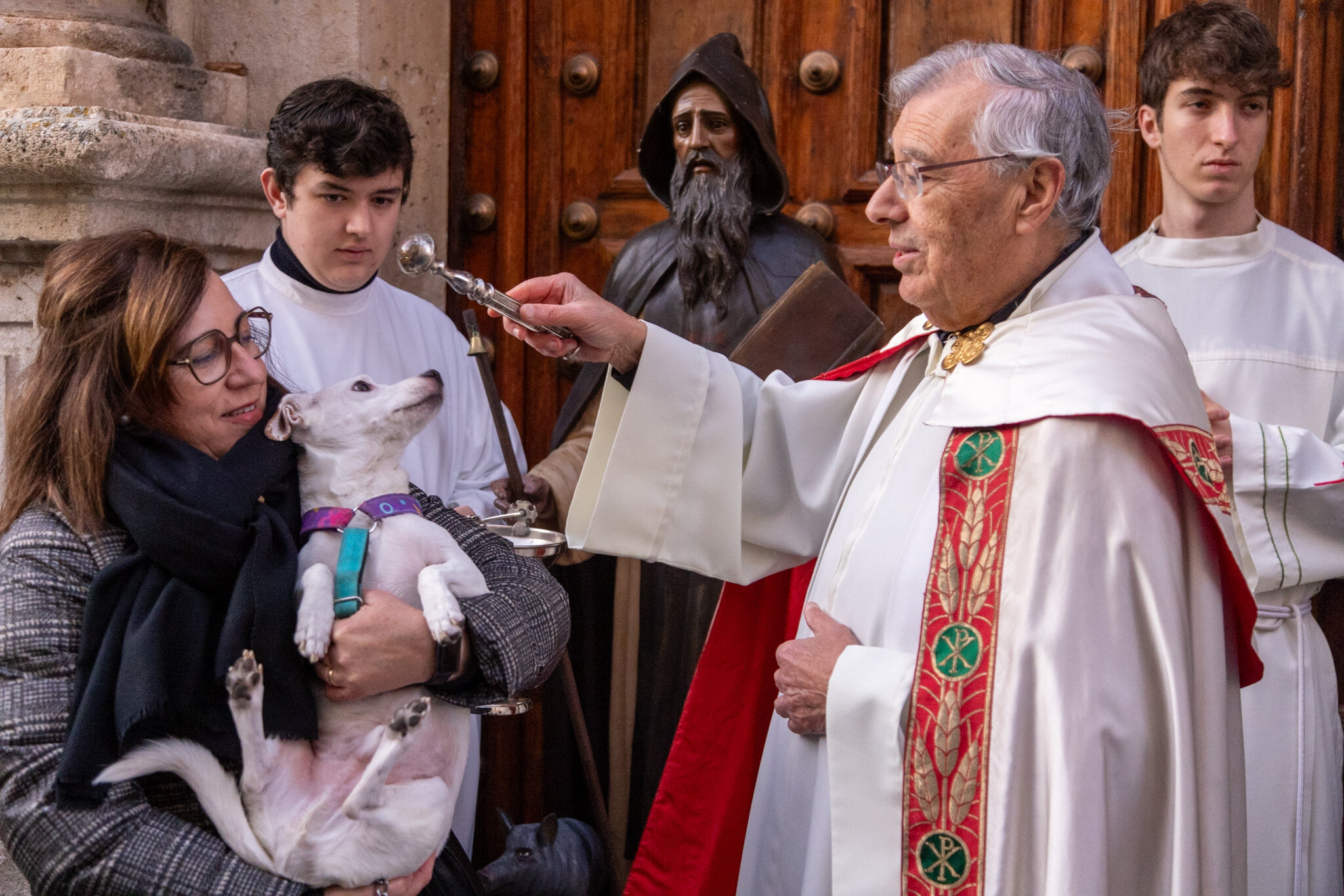 Bendición de mascotas y panecillos de San Antón