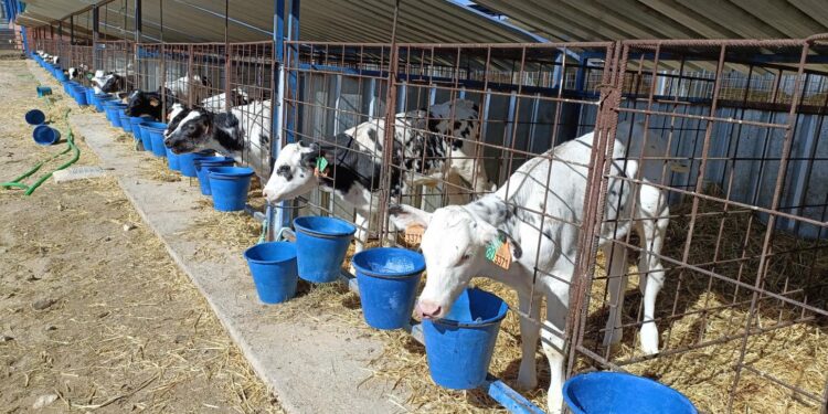Castilla-La Mancha: 9,8 Millones de Euros en Ayudas para Modernizar Maquinaria Agrícola y Ganadera