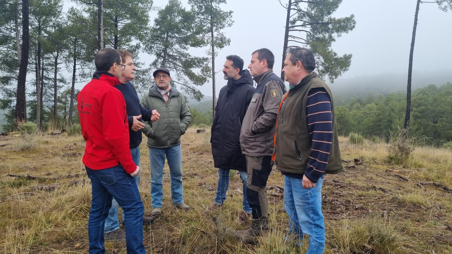 Castilla-La Mancha Lanza Ayudas de 360.000 Euros para Fomentar el Pastoreo Controlado en la Prevención de Incendios Forestales