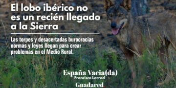 El Lobo Iberico en la Sierra Norte de Guadalajara