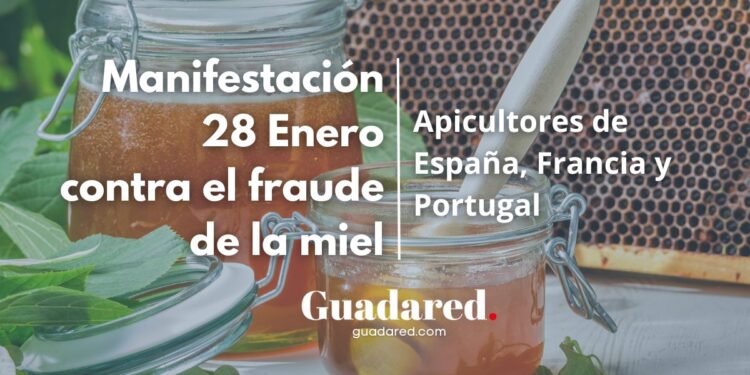 Manifestación contra el fraude de la miel: apicultores de España, Francia y Portugal luchan por la miel auténtica el 28 de enero