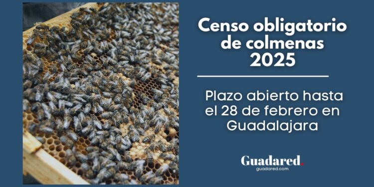 Censo obligatorio de colmenas 2025: Plazo abierto hasta el 28 de febrero en Guadalajara