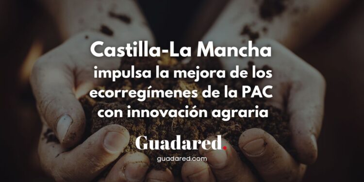 Castilla-La Mancha impulsa la mejora de los ecorregímenes de la PAC con innovación agraria