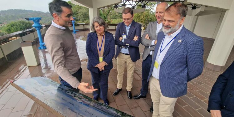 Castilla-La Mancha Solicita Infraestructuras Energéticas para Impulsar su Autonomía y Desarrollo Industrial