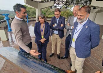 Castilla-La Mancha Solicita Infraestructuras Energéticas para Impulsar su Autonomía y Desarrollo Industrial