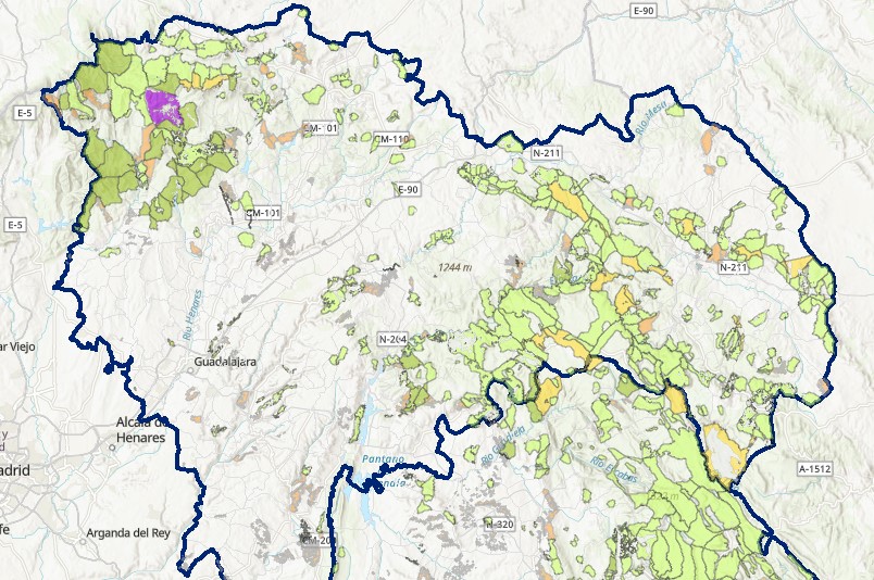 Ayudas 2024 para el Mantenimiento de Áreas de Defensa Contra Incendios Forestales mediante Pastoreo en Castilla-La Mancha