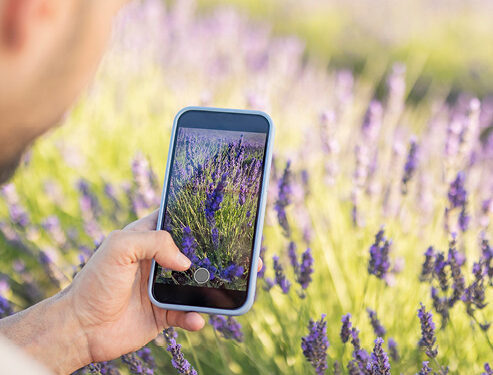 Nomadismo digital como motor de reactivación económica y revitalización del mundo rural en Brihuega