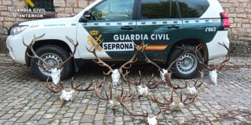 Operativo del SEPRONA contra la caza ilegal en Molina de Aragón: dos investigados por furtivismo