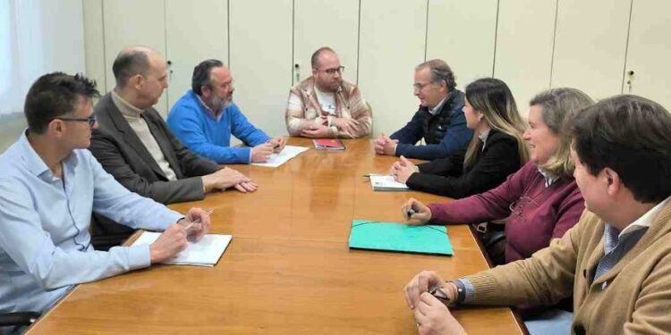 Preocupación en Guadalajara por la Expropiación de Suelo Agrícola para Plantas Solares Fotovoltaicas