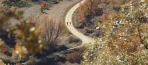 Descubre el Valle del Río Ungría: Rutas de Senderismo y Biodiversidad en el Corazón de La Alcarria
