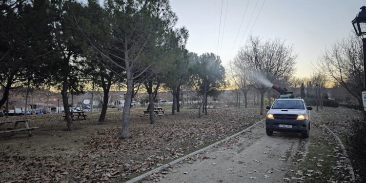 Tratamiento Preventivo contra la Procesionaria en Alovera: Control de Plagas en Zonas Verdes