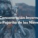 La Pajarita de las Nieves 2025: Motores, hermandad y adrenalina en Escopete