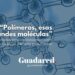 Conferencia en Guadalajara: “Polímeros, esas grandes moléculas” dentro del ciclo 'La Mujer y la Niña en la Ciencia'