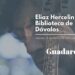 Concierto de Eliaz Hercelin en Guadalajara: La Magia de la Viola da Gamba y la Música Barroca en la Biblioteca de Dávalos