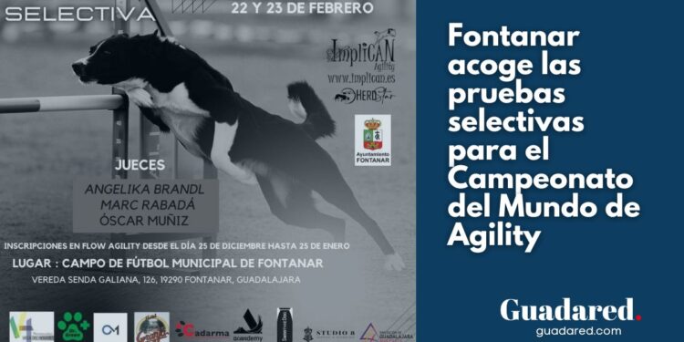 Pruebas Selectivas para el Campeonato del Mundo de Agility en Fontanar