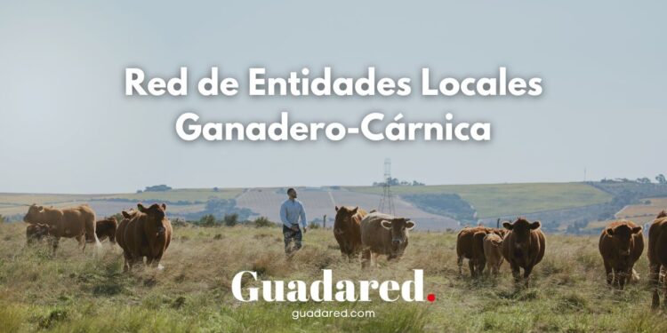 FEMP Crea la Red de Entidades Locales Ganadero-Cárnica para Impulsar el Sector en el Mundo Rural