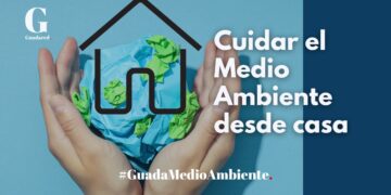 10 acciones infalibles para un hogar ecoamigable y sostenible