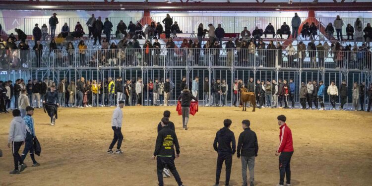 'Toro del Carnaval' en La Cubierta de Marchamalo, con el primer Concurso Nacional de Recortadores
