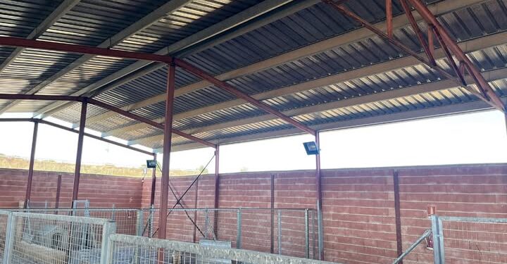 Vega del Henares aprueba 18.150 euros para mejorar las instalaciones de Hogar Amigo y el bienestar de los perros