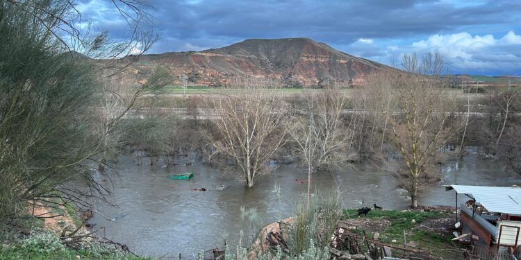 Inundaciones en Guadalajara: Agricultores piden zona catastrófica por daños en cultivos tras borrasca Jana