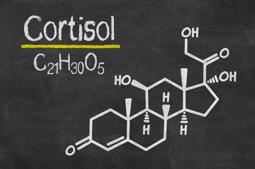 Cortisol: Qué es, para qué sirve y cómo afecta tu salud | Guía completa sobre la hormona del estrés