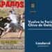 ¡Vuelve la Feria Chica de Galápagos 2025!