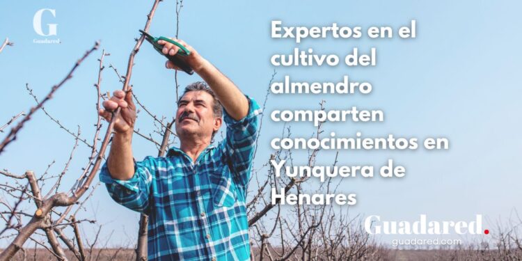 Expertos en el cultivo del almendro comparten conocimientos en Yunquera de Henares