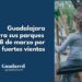 Guadalajara cierra sus parques el 8 de marzo por fuertes vientos: Aviso amarillo y medidas de seguridad