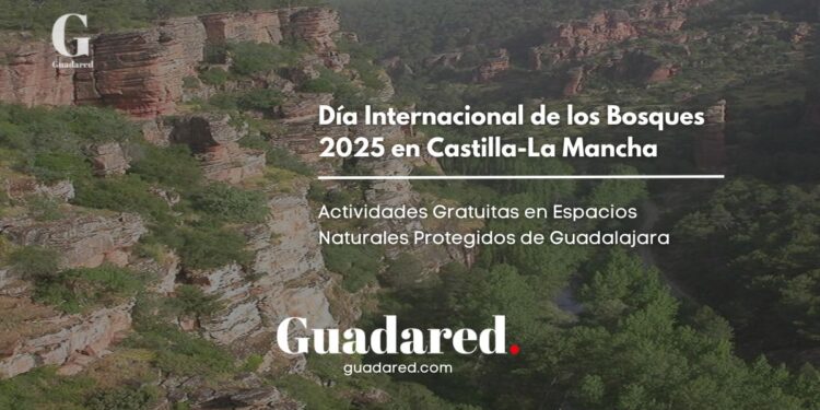 Castilla-La Mancha celebra el Día Internacional de los Bosques 2025 con actividades gratuitas en sus espacios naturales