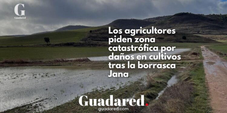 Inundaciones en Guadalajara: Agricultores piden zona catastrófica por daños en cultivos tras borrasca Jana