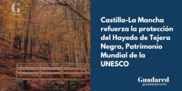 Castilla-La Mancha refuerza la protección del Hayedo de Tejera Negra, Patrimonio Mundial de la UNESCO
