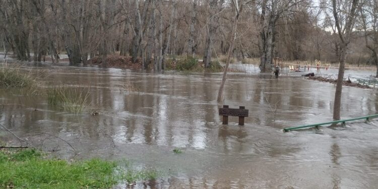 Inundaciones en Guadalajara: Agricultores piden zona catastrófica por daños en cultivos tras borrasca Jana