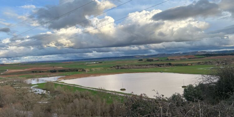 Inundaciones en Guadalajara: Agricultores piden zona catastrófica por daños en cultivos tras borrasca Jana