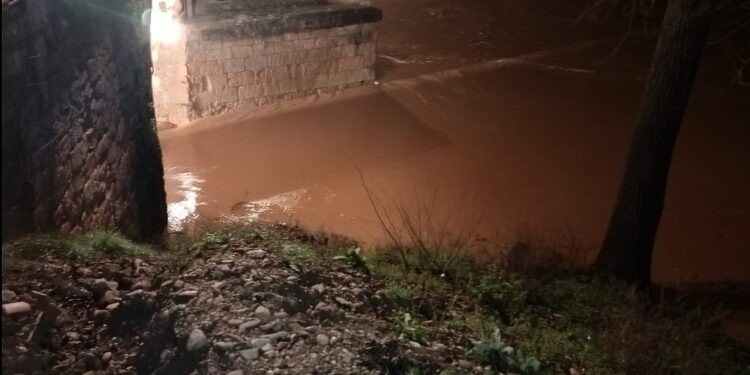 Rio Henares por Espinosa.