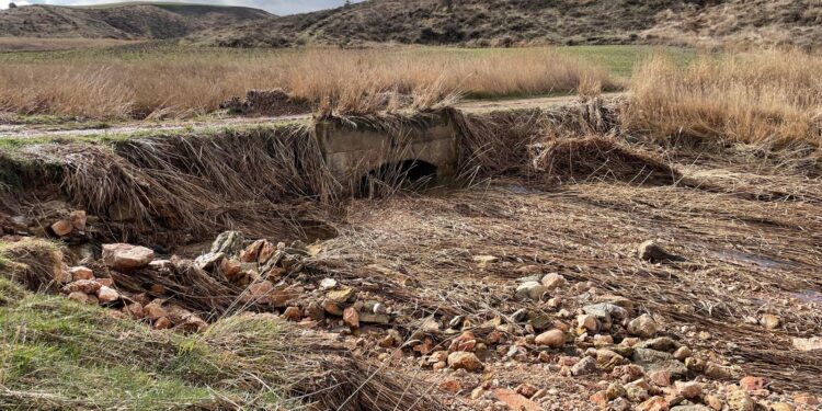 Inundaciones en Guadalajara: Agricultores piden zona catastrófica por daños en cultivos tras borrasca Jana