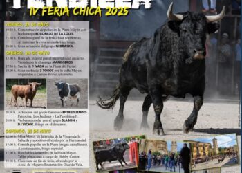 Tendilla calienta motores para su IV Feria Chica: vacas, toros, flamenquito y tradición