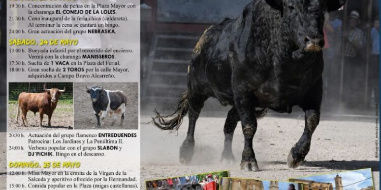 Tendilla calienta motores para su IV Feria Chica: vacas, toros, flamenquito y tradición