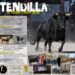 Tendilla calienta motores para su IV Feria Chica: vacas, toros, flamenquito y tradición